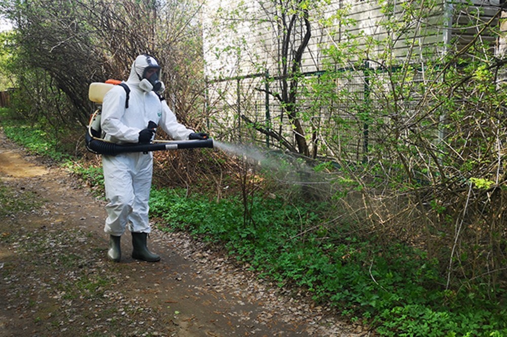 На фото дезинфекция участка за городом.